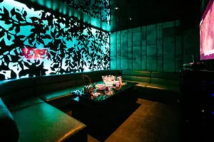Room-8-Karaoke-300x200-1.webp